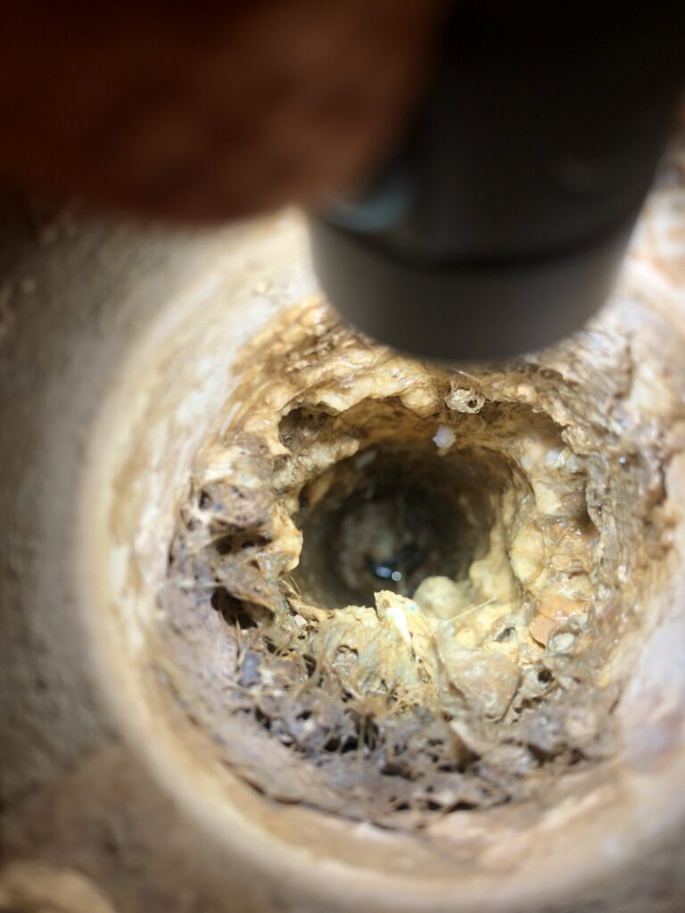Florida Plumbing & Inspection plumbing job – Ocean Ridge Boulevard South, Hammock Beach, Jul 11, 2023