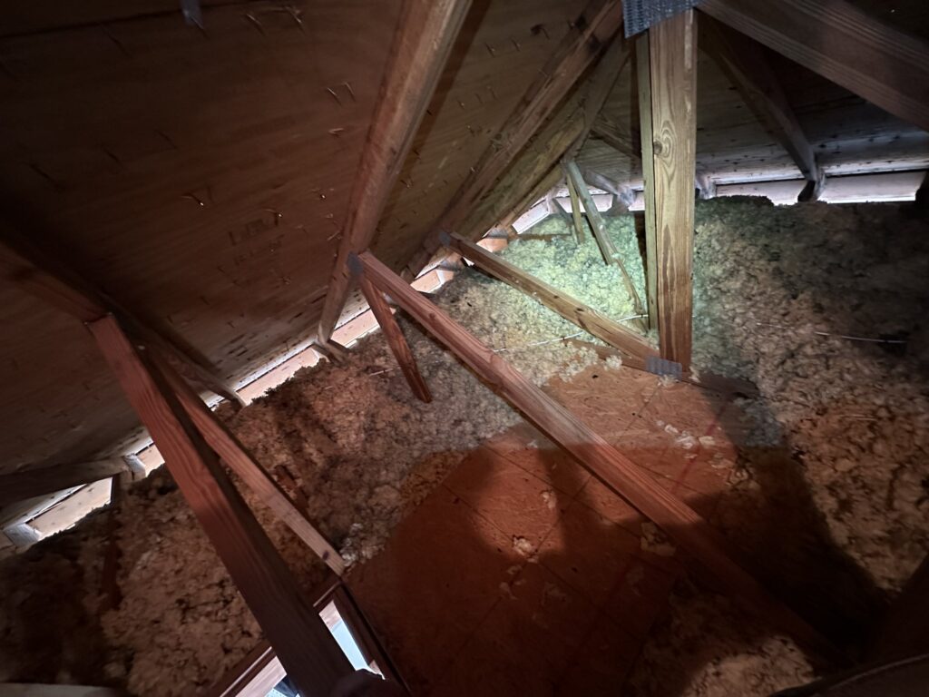 New supply lines strapped across the trusses in a Palm Coast attic